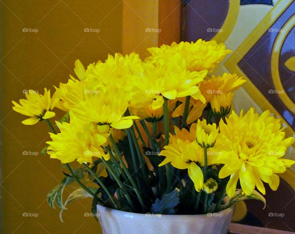 Yellow flowers in pot