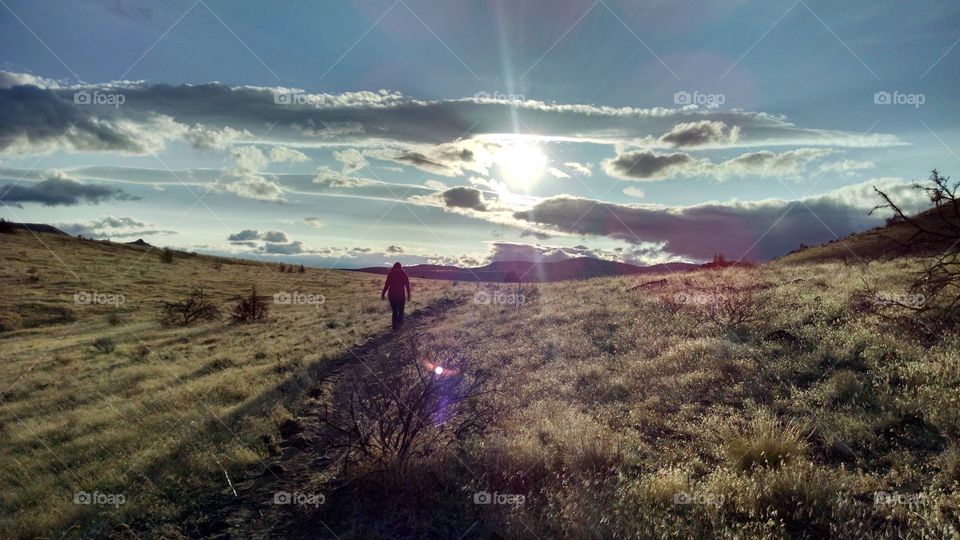 A person standing on field in sunset