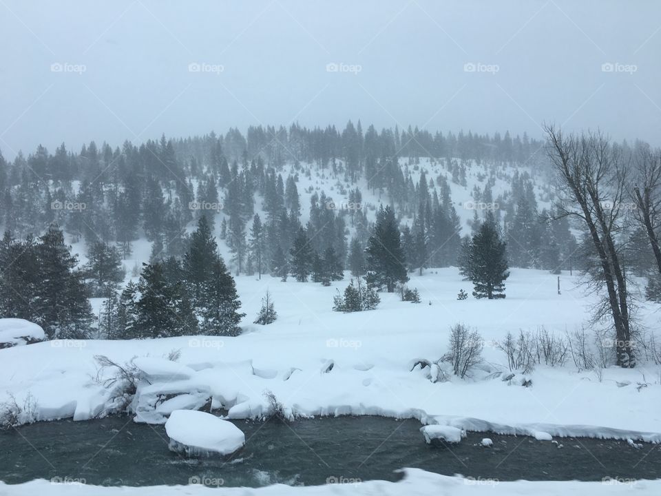 Winding winter river