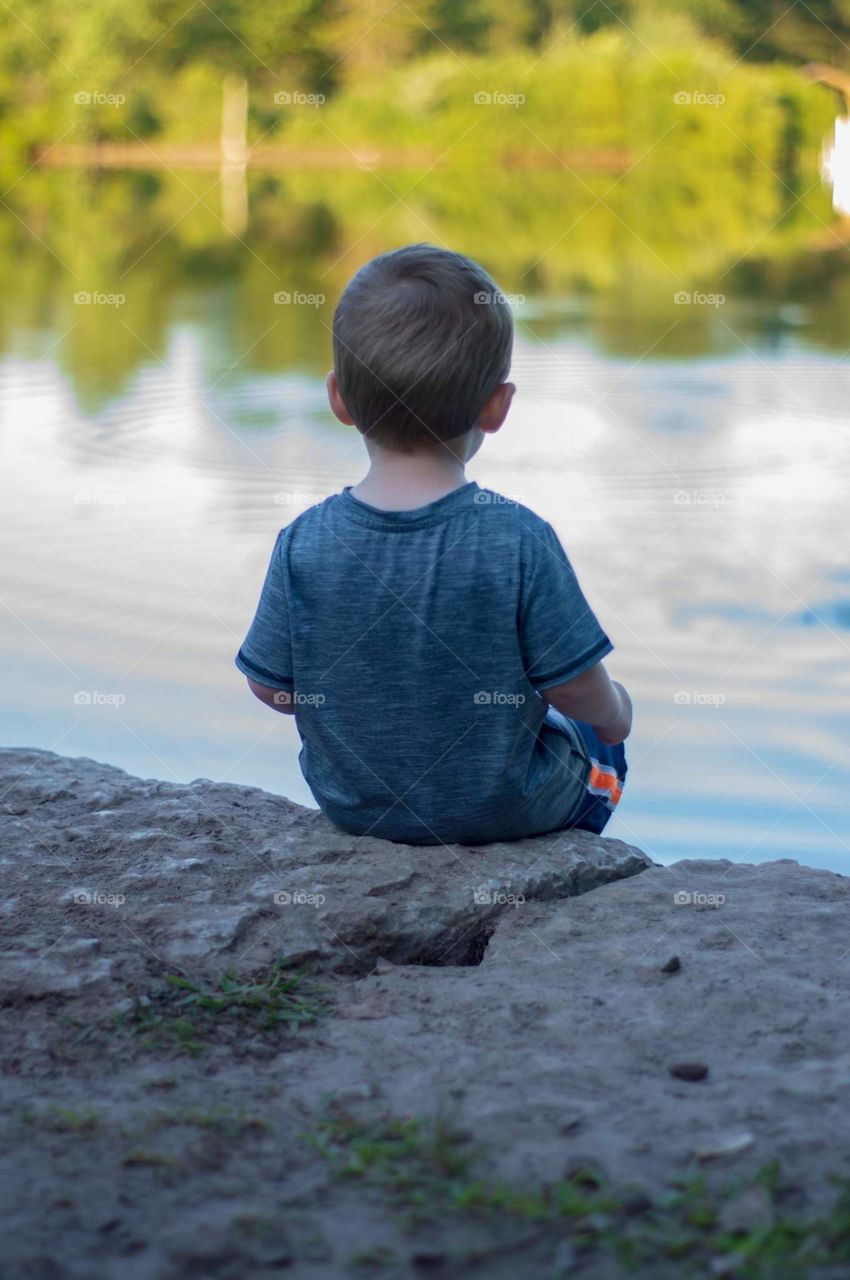 Looking over the Lake
