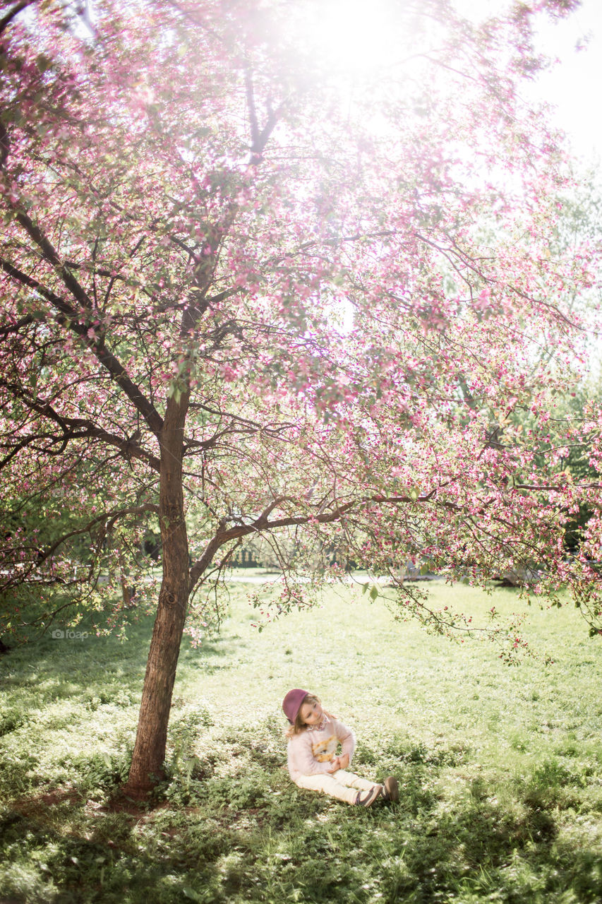 Cute Little girl in a blossom park