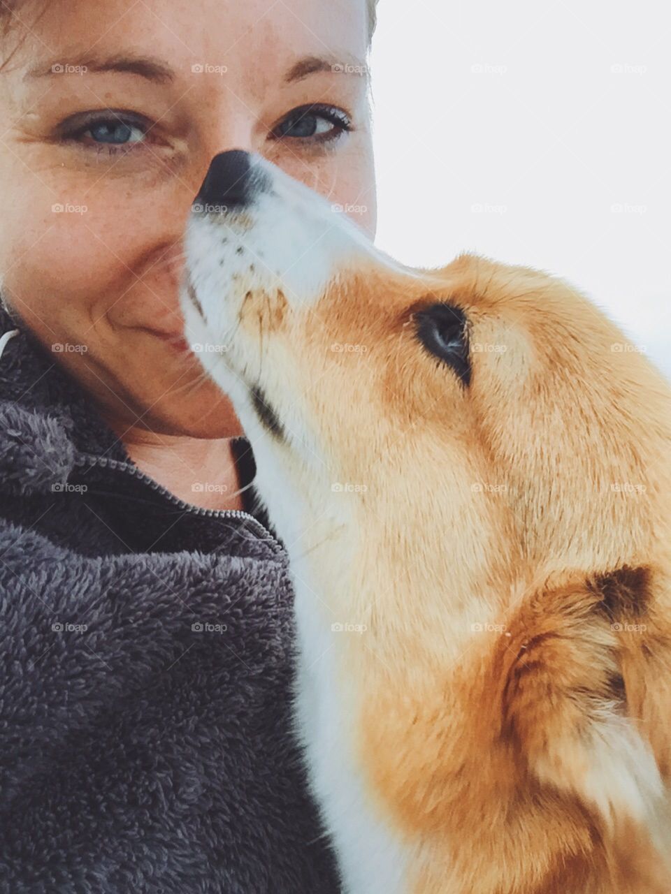 Mammal, Dog, Portrait, Fur, One