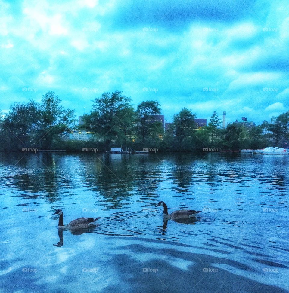 Float.. Love on the river.