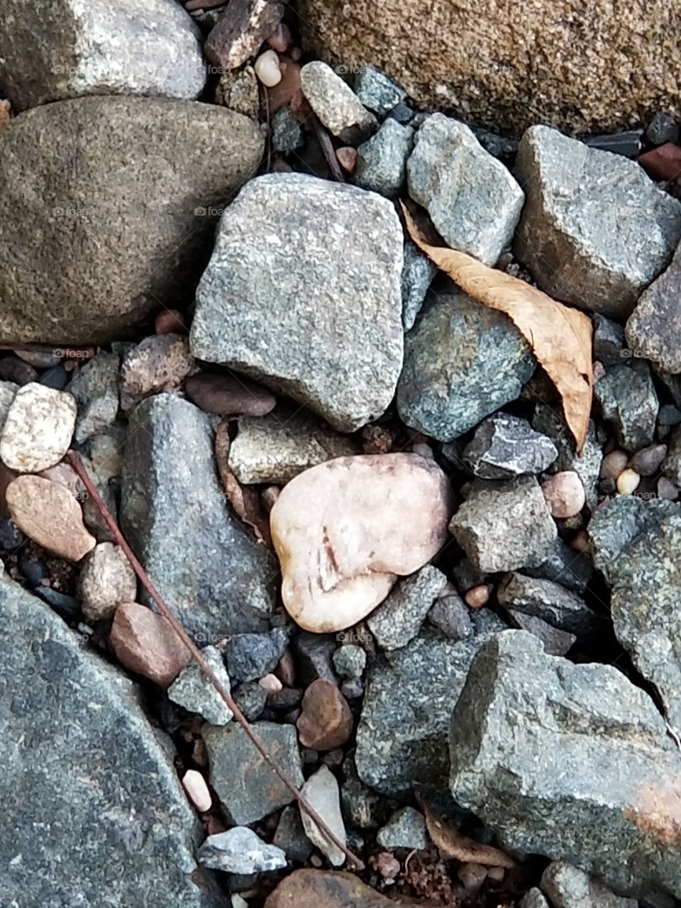 colorful rocks on stream bed