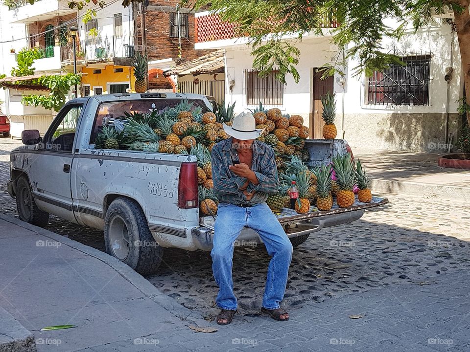 Pineapple store