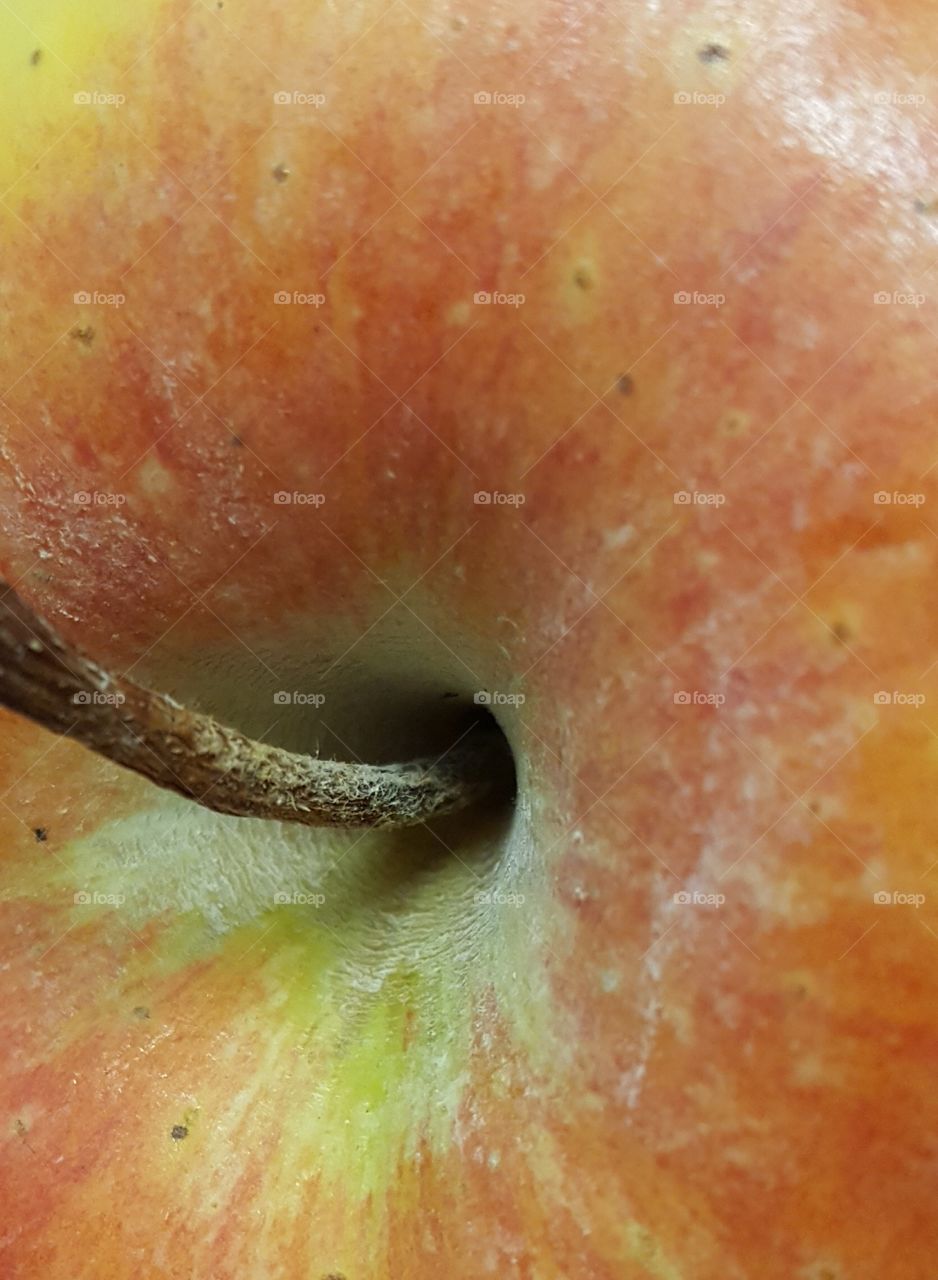 Apple stem