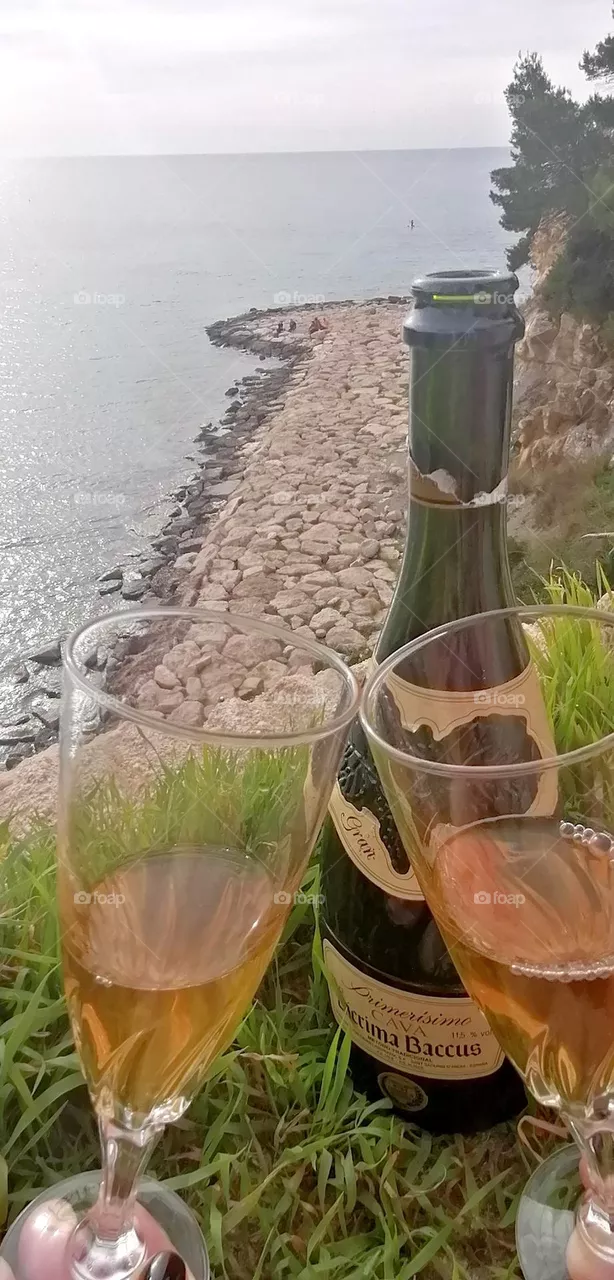 couple toast