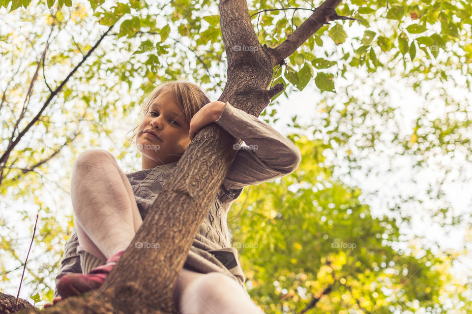 girl on the tree