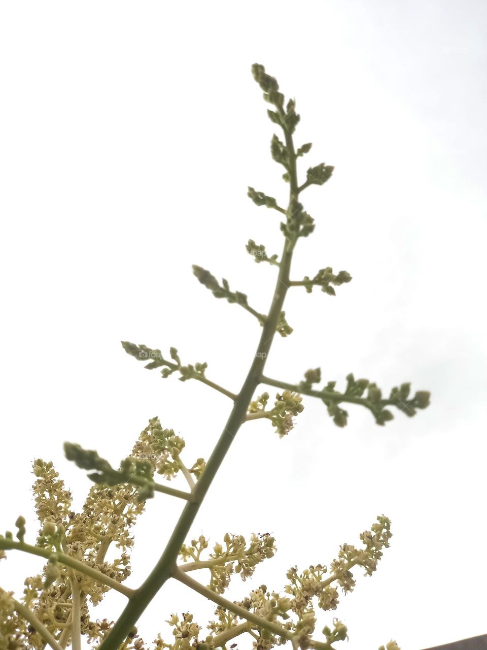 Nothing compares to water from above