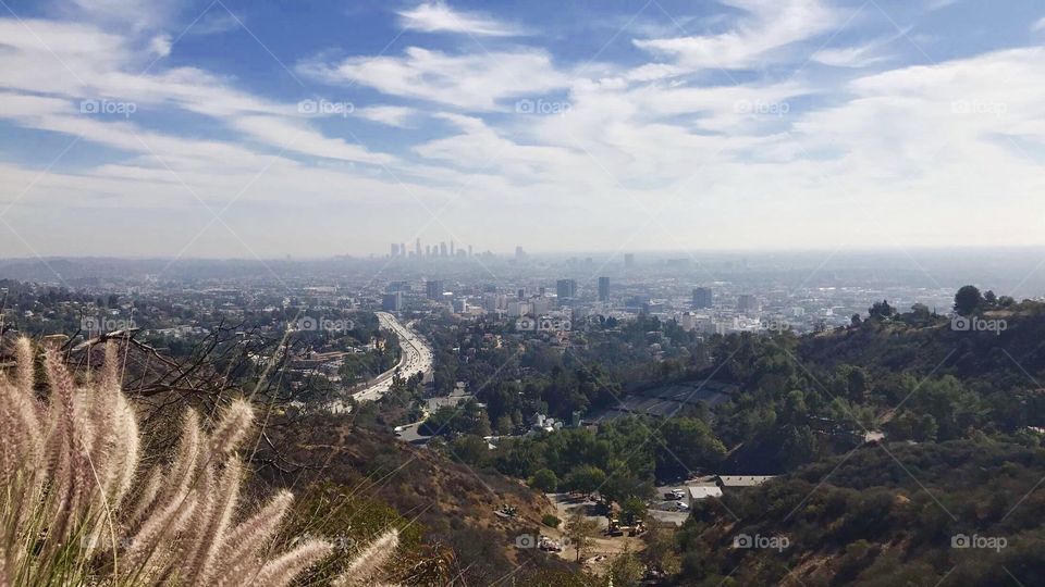 On top of Hollywood hill 