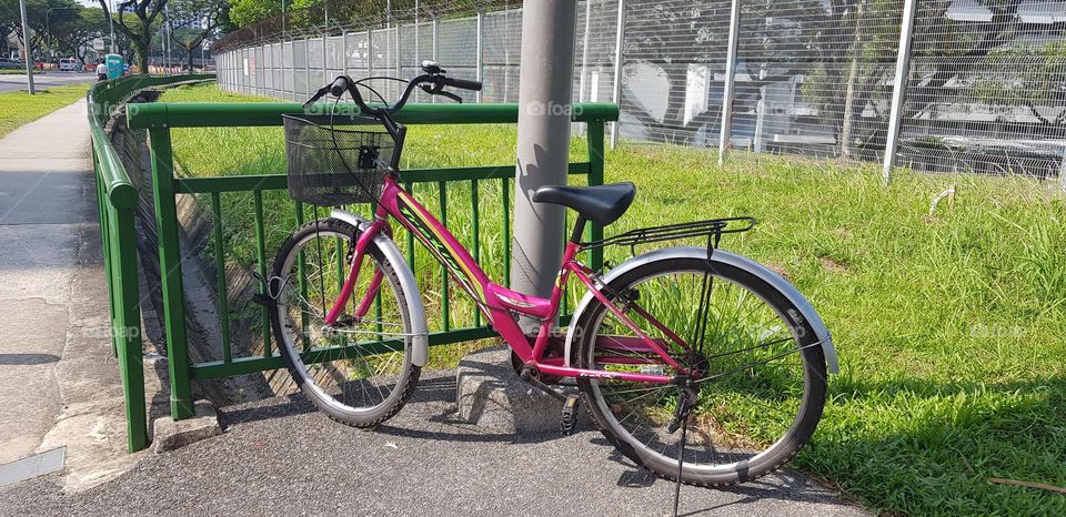 bicycle at green grass