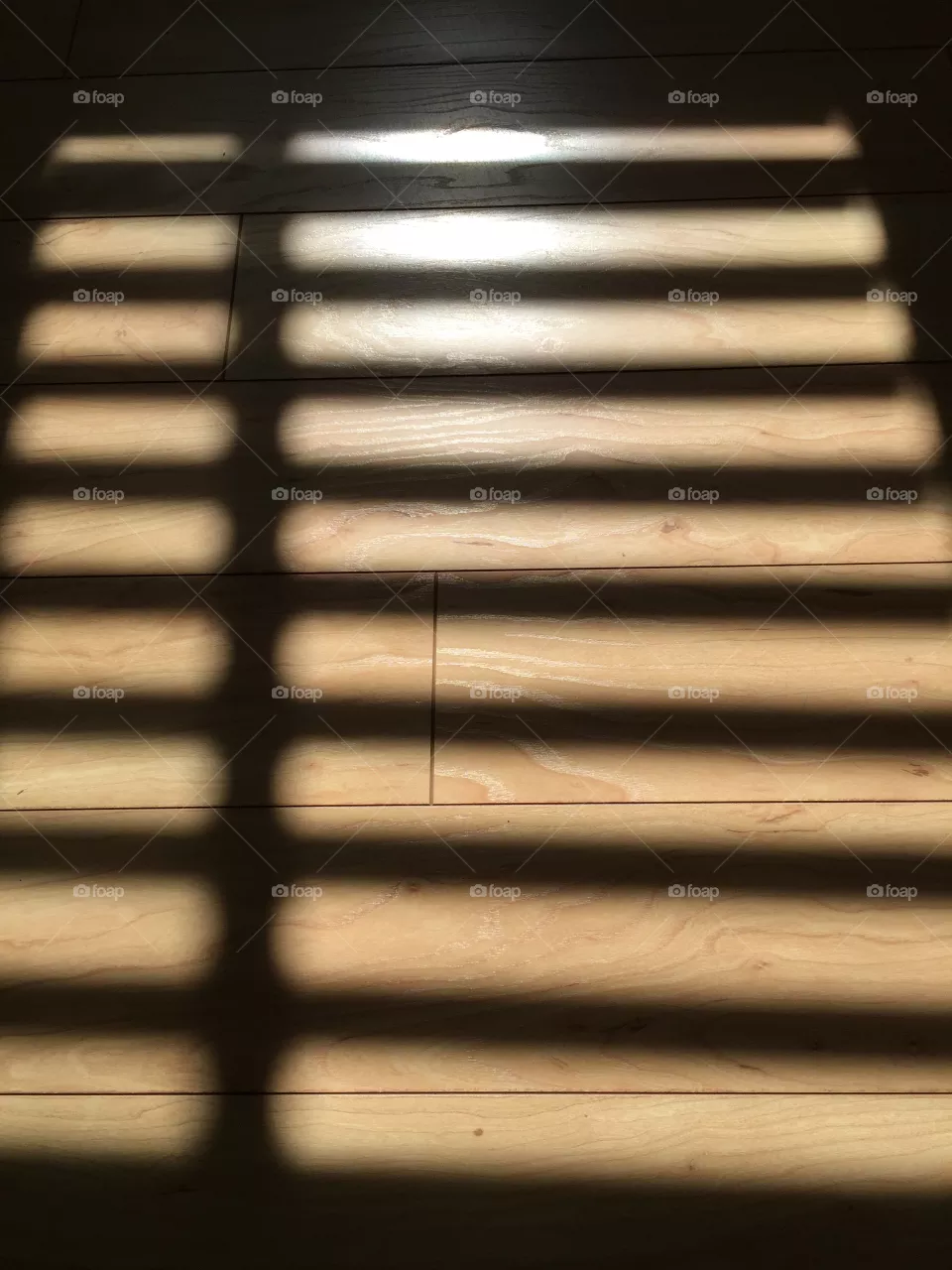 Shadows