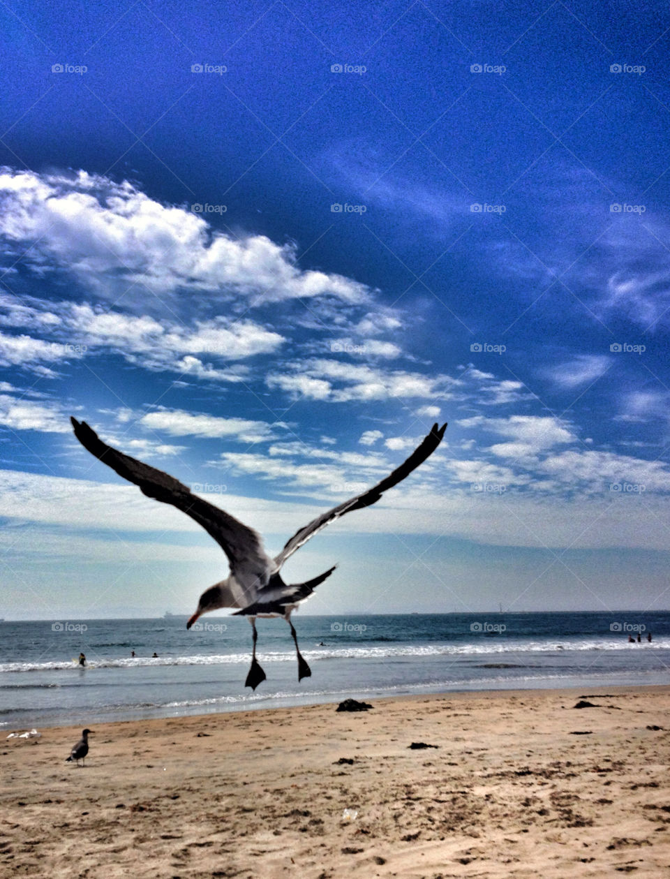 beach sky nature blue by analia