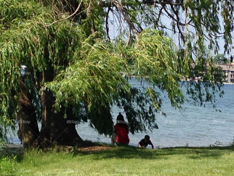 Willow love. Young family under lake side willow tree in battle creek mi 