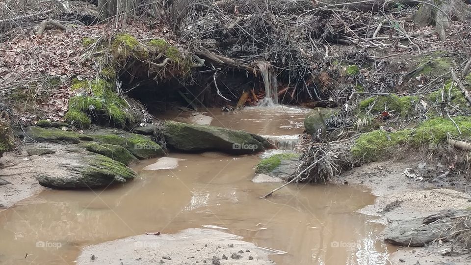 Water, Nature, Stream, River, Landscape