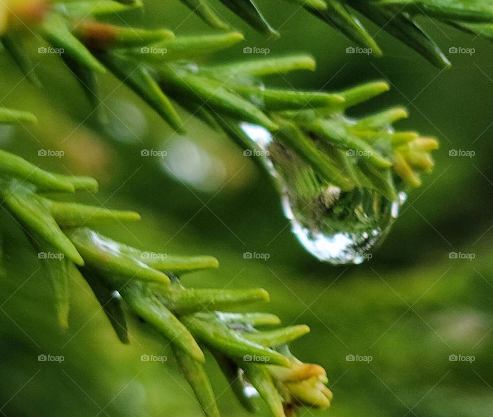 Drop of Water