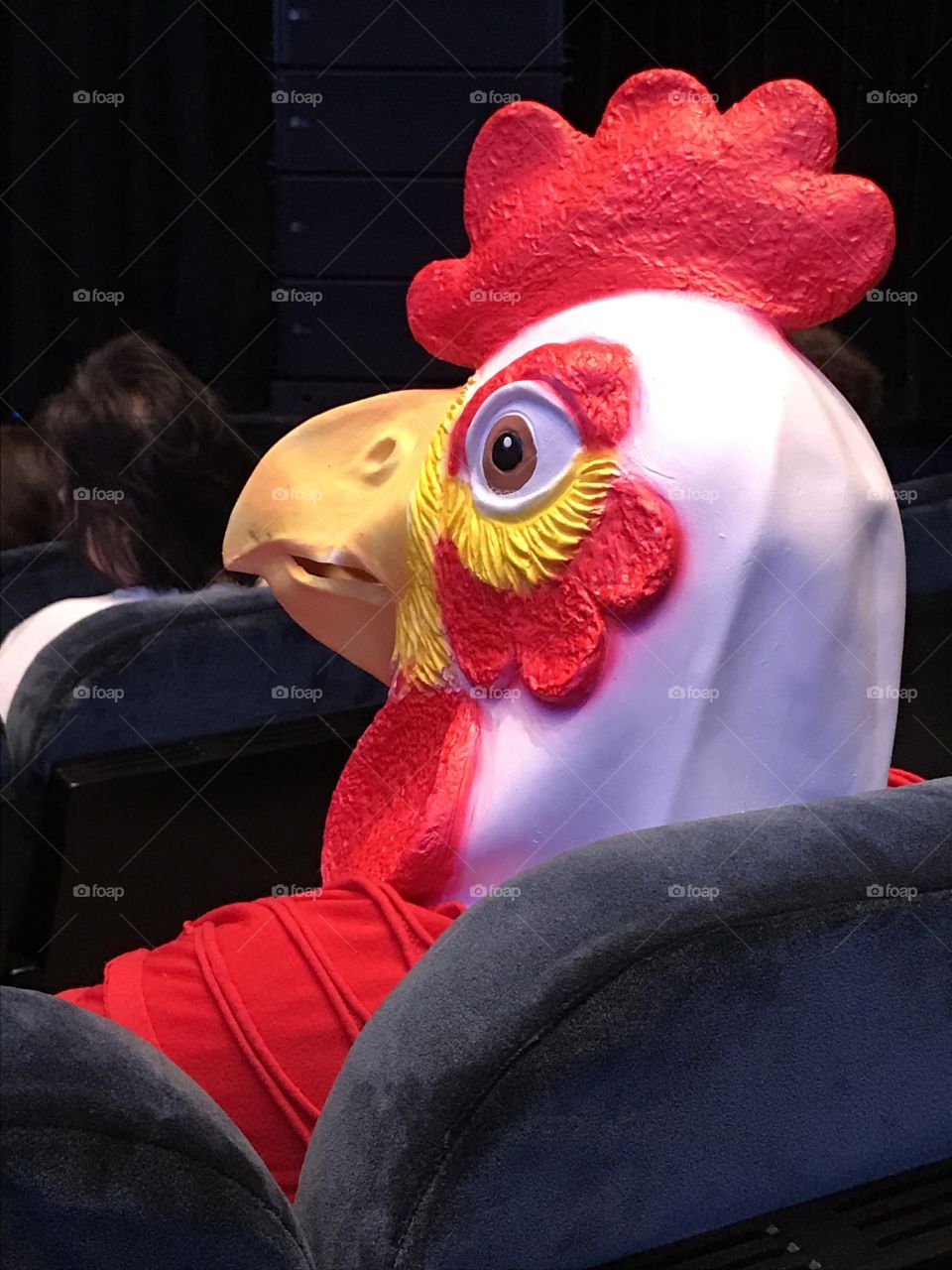 Chicken costume
