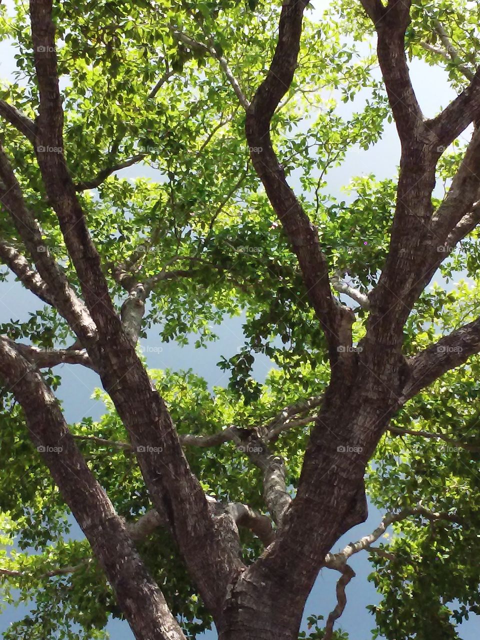 How much do you like this photo?