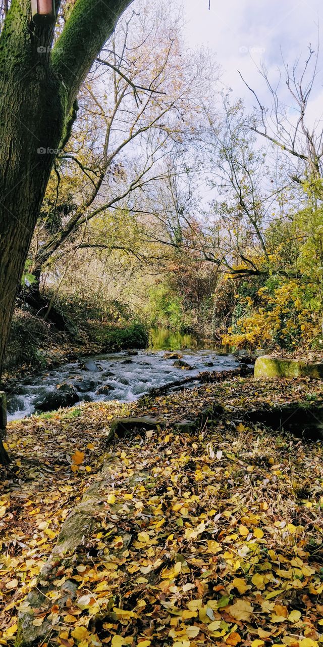 autumn time Germany