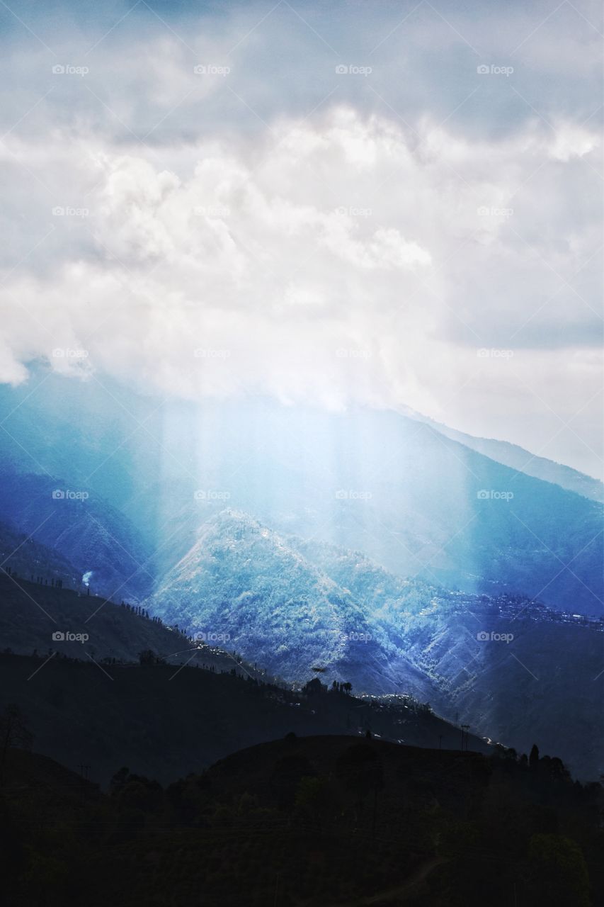 Darjeeling Fog