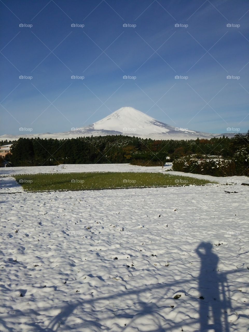 Fujisan and my shadow