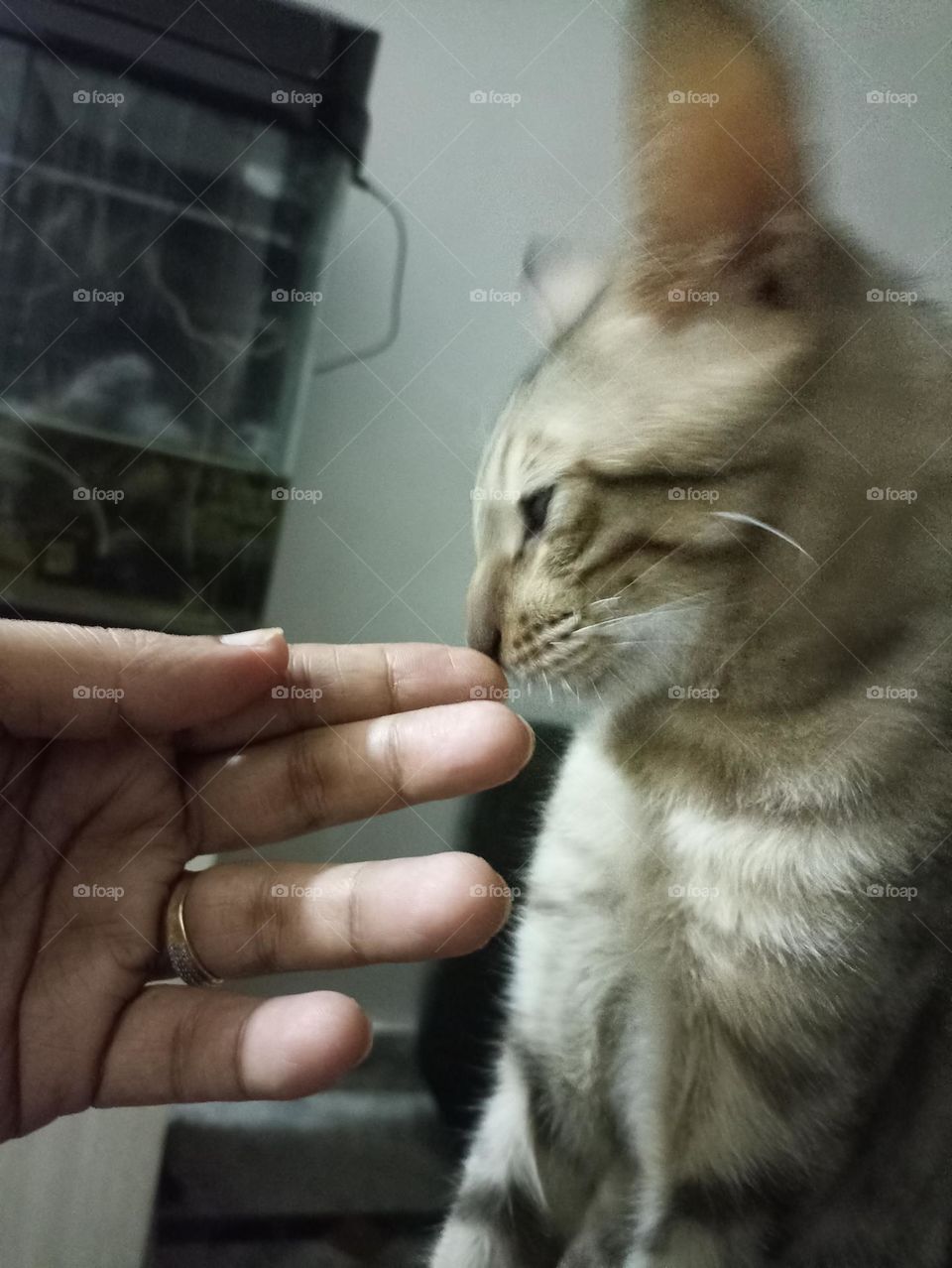 love that no one give