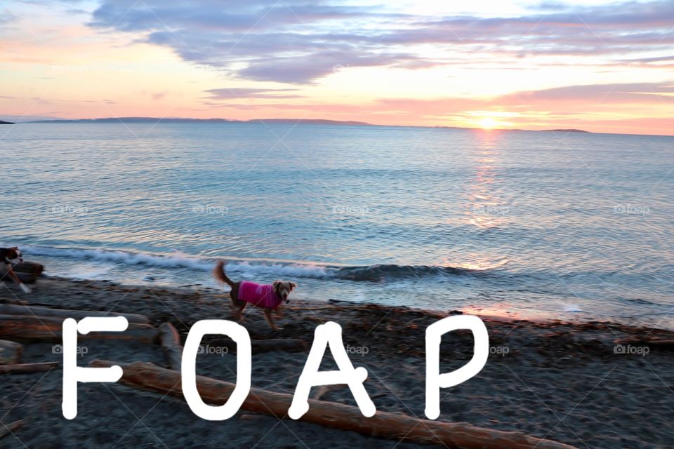 Foap logo 