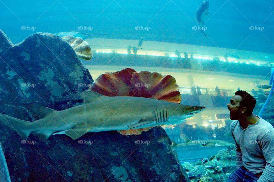 Dubai mall aquarium... Having breakfast with shark
