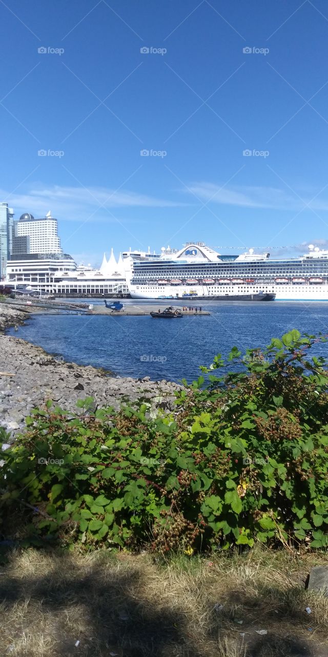 Amidst the Chaos of life, What is your Vision.