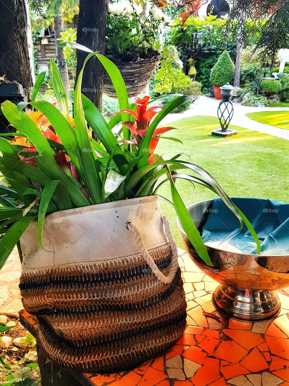 Do you also enjoy your flowers? 🙂🌸