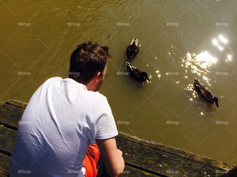 Feeding ducks 