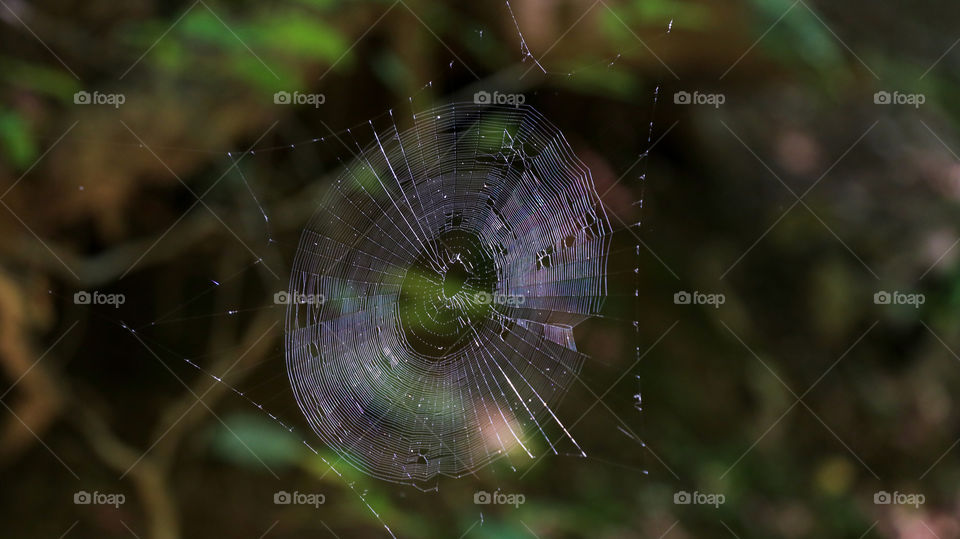 Close up of spiderweb with few