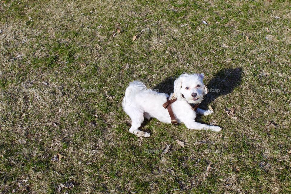 Sunbathing.-First days of spring 