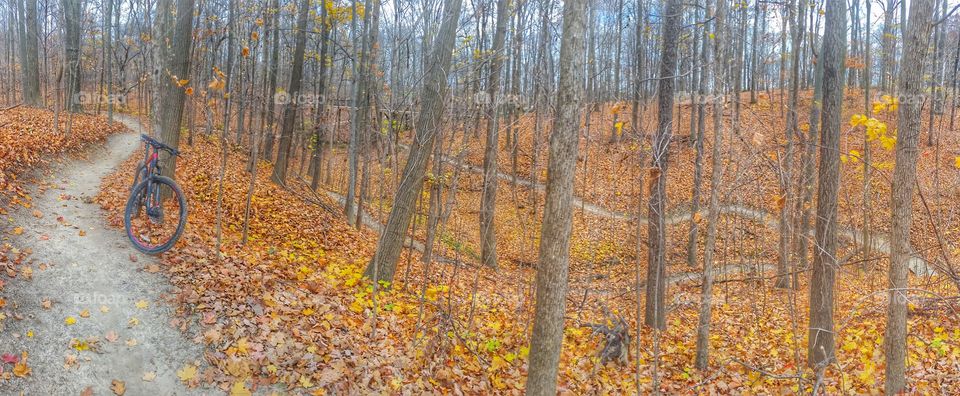 fall bike ride in the forest