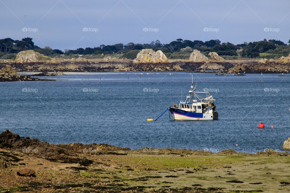 view of the port from the harbor