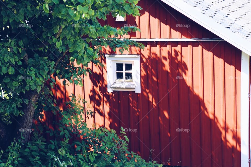 Pretty little red wooden house