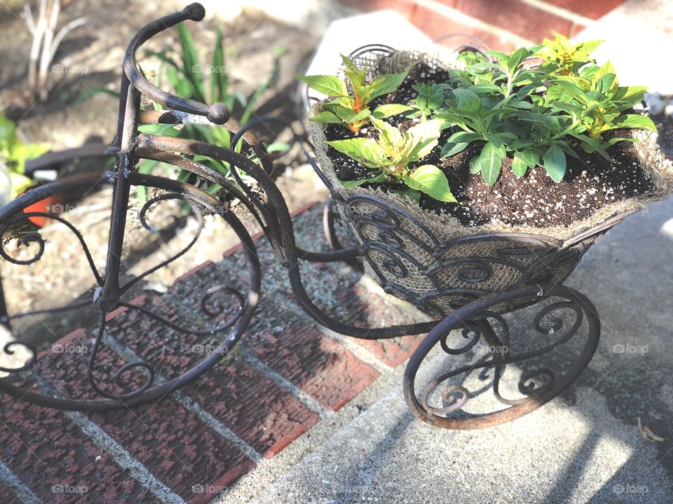 Tricycle planter