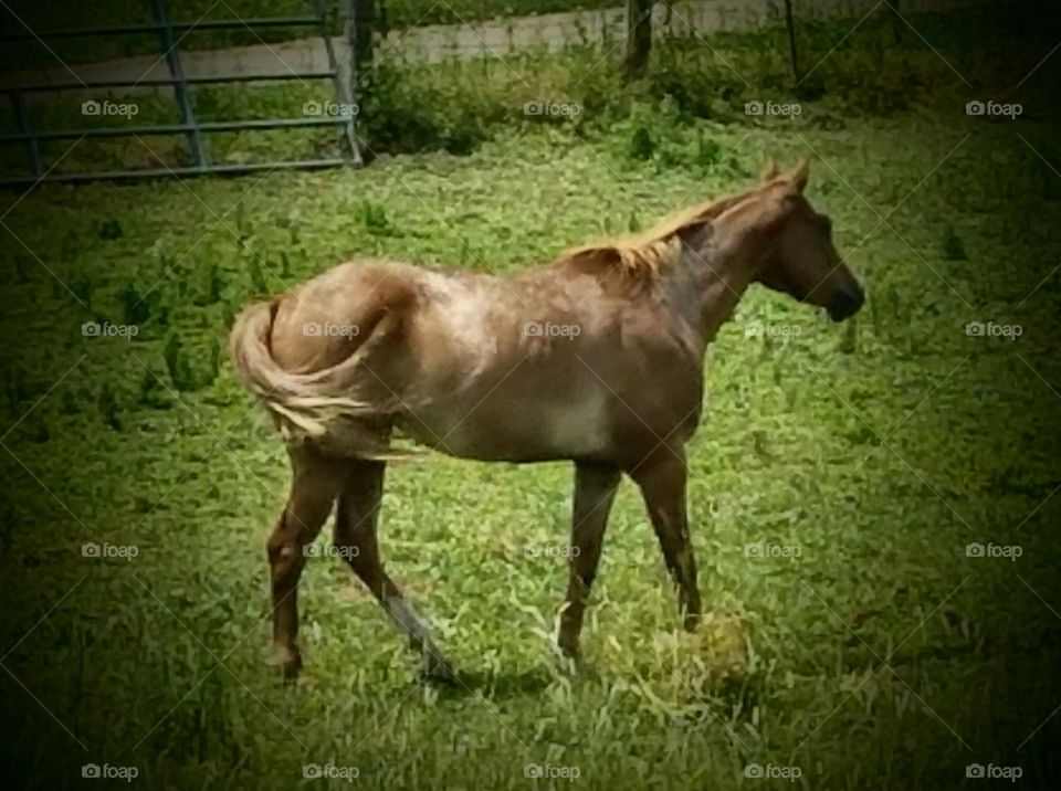 Driving the Back Roads and enjoying everything around us