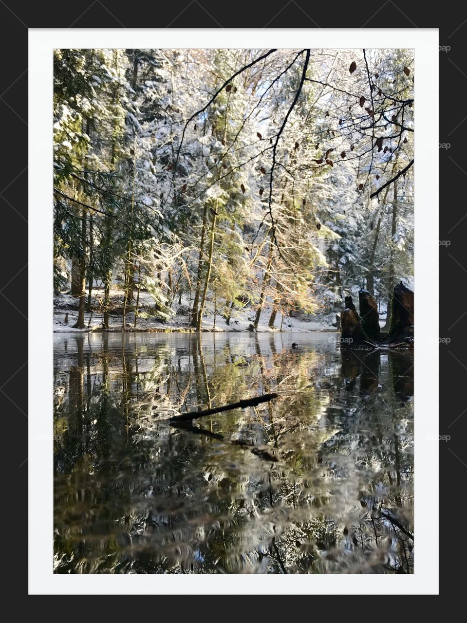 Steibachweiher Switzerland