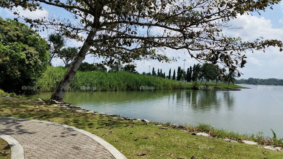 Quiet day by the lake. Quiet time by myself