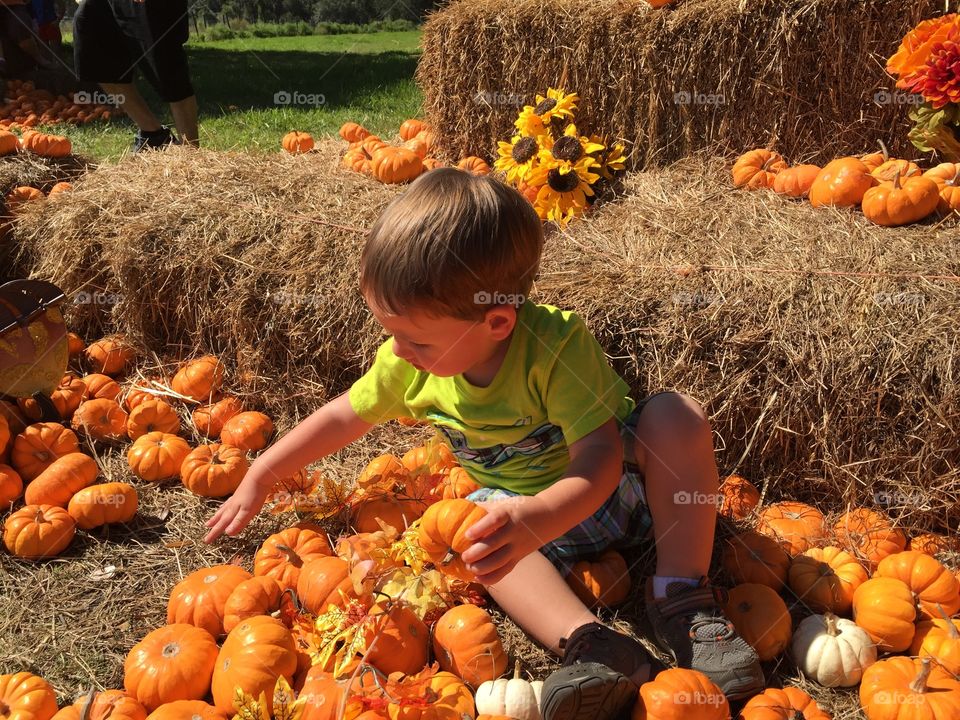 Playing in the pumpkin patch. 