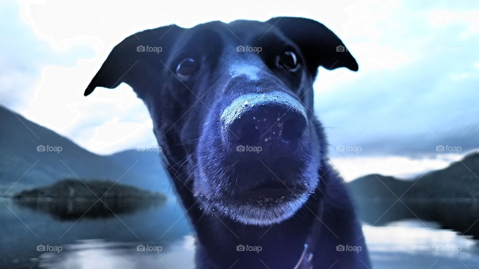 There is so much human character in this face. 