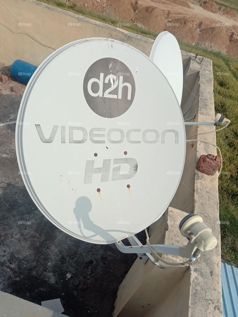 view of dish