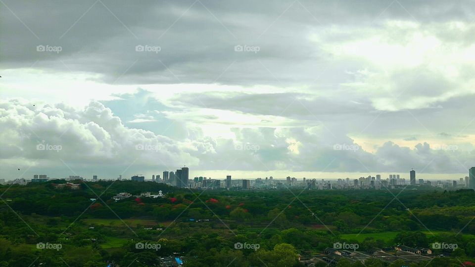 Landscape, Tree, Sky, Travel, Nature
