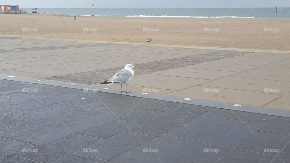 Alleine ist man eh besser