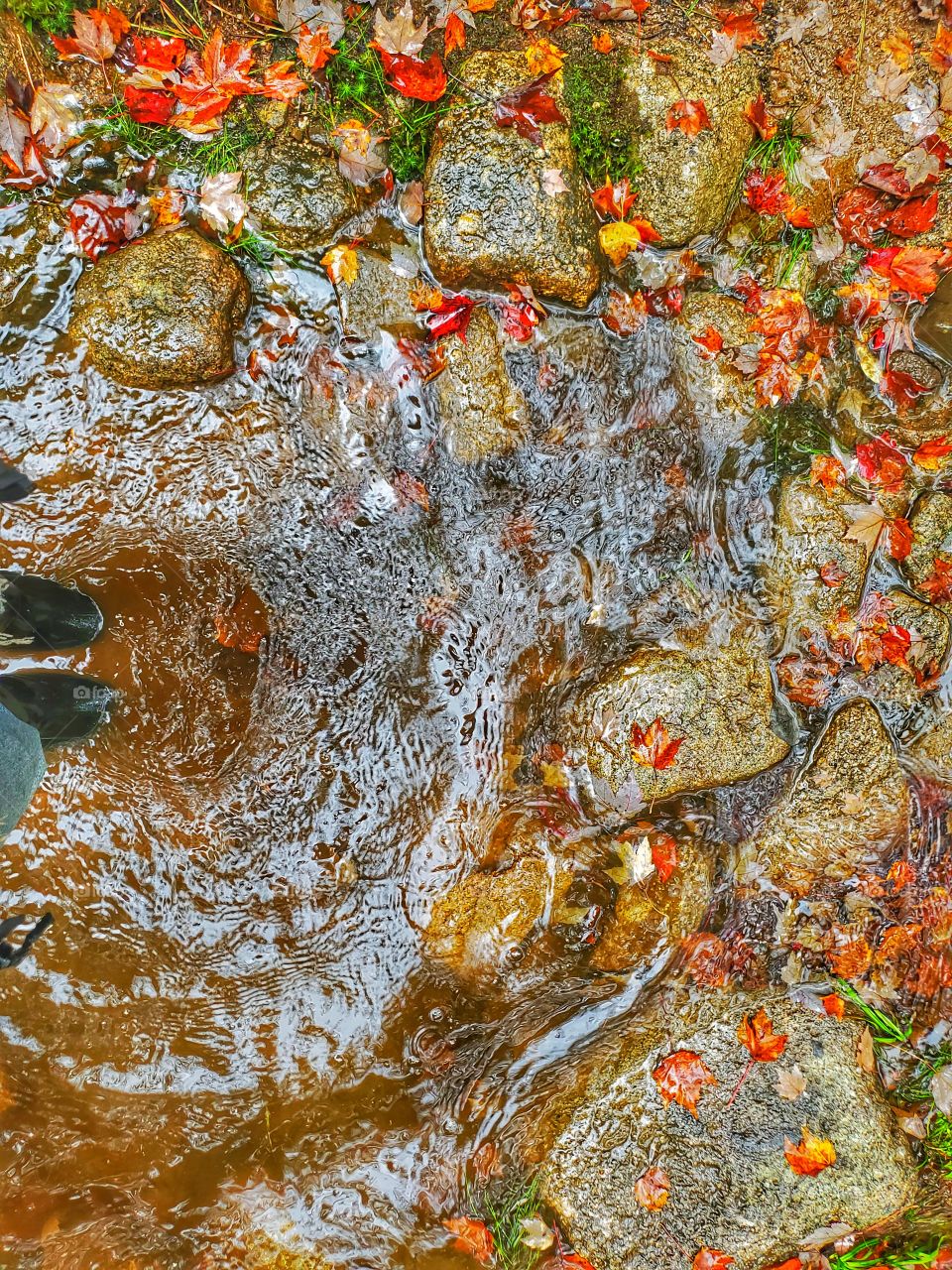 From where I stand:
Rainy days:
Splashing around in puddles.