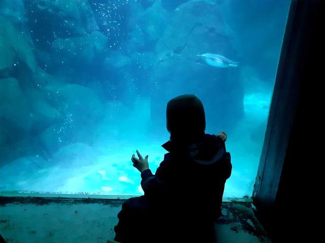 the child by the window