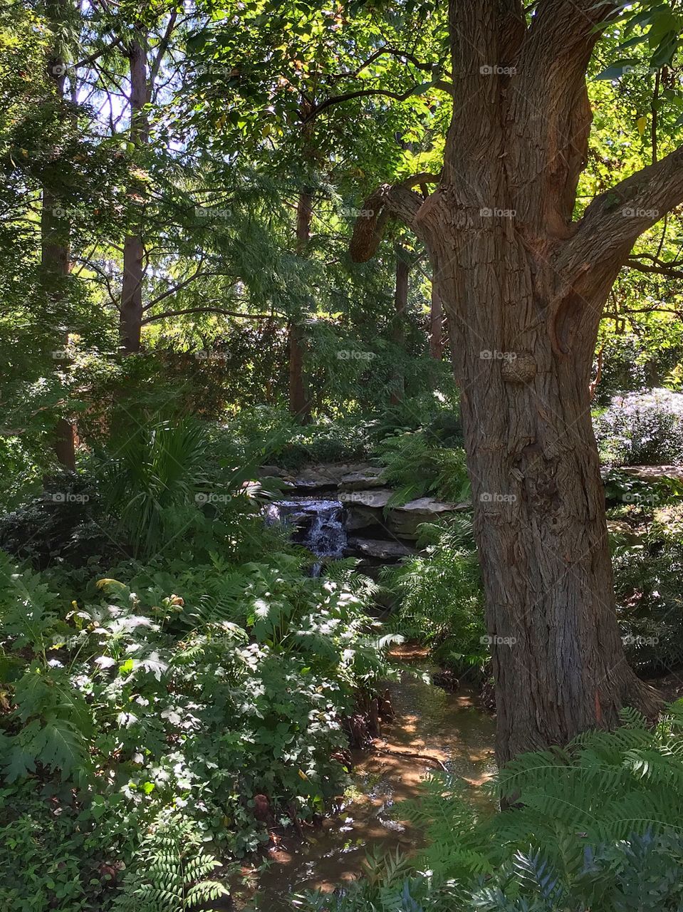 Scenic view of garden river and trees