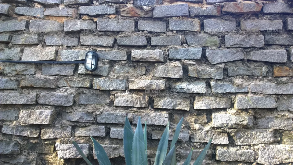 Muro
