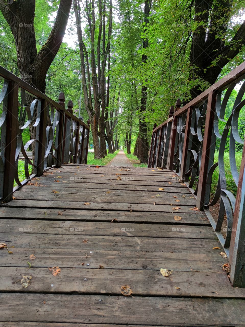 a wooden bridge with a metal rim that leads over a small stream.  Trail in the park